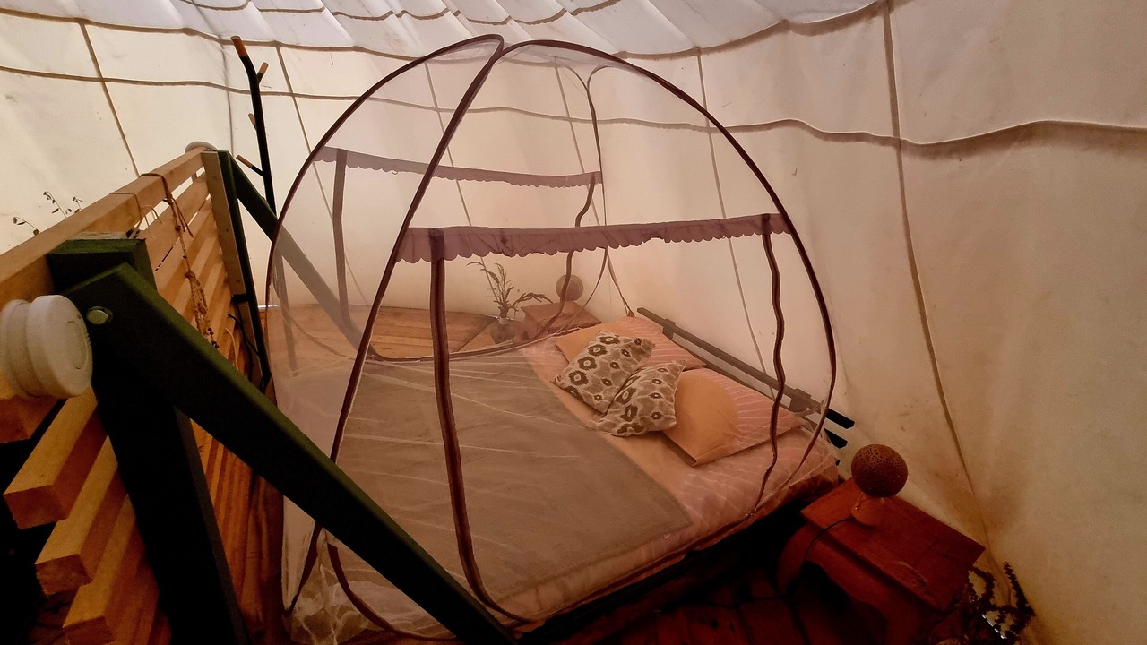 Photo of Bedroom in Cite