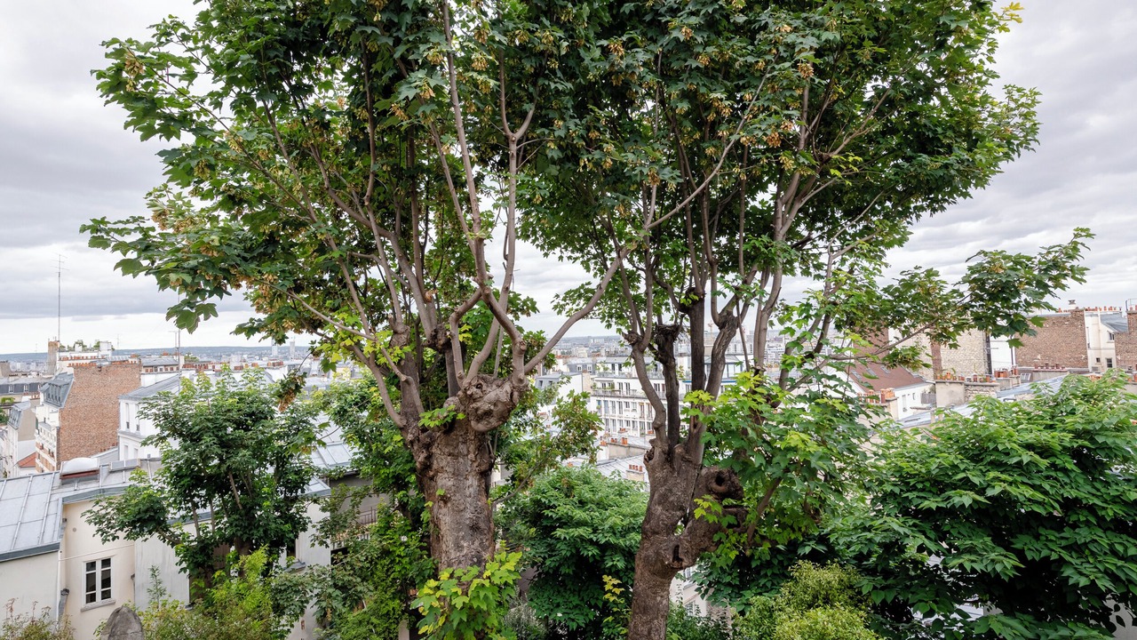 Photo of Outdoor in Clignancourt