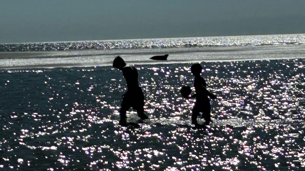 Photo of Others in Sainte-Cecile-Plage
