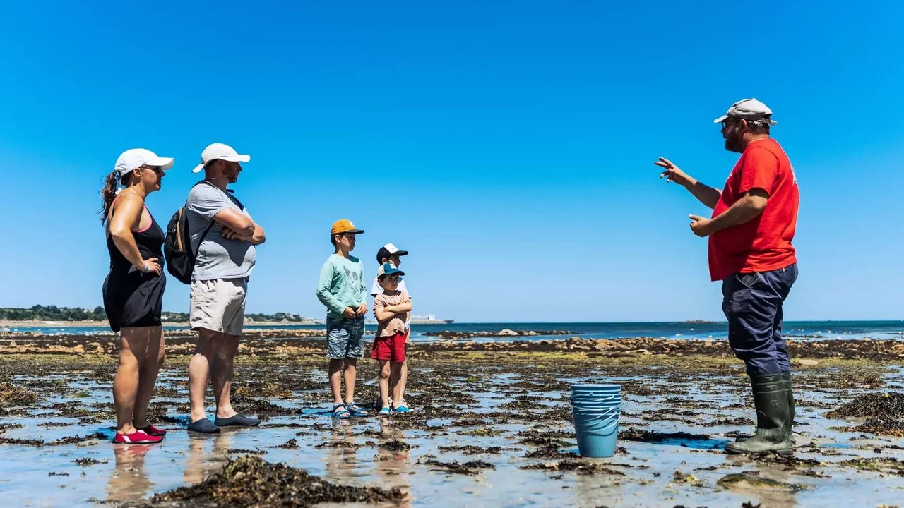 Photo of Others in Saint-Pol-de-Leon