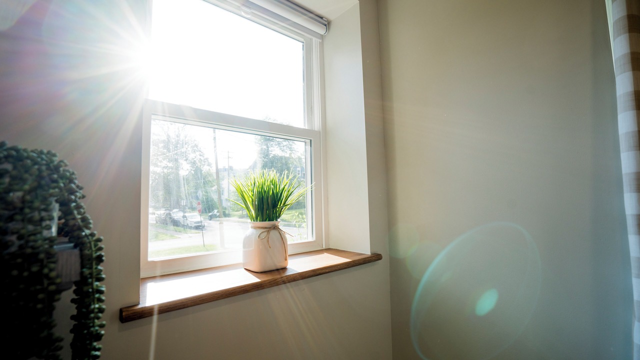 Photo of Others in Williamsport