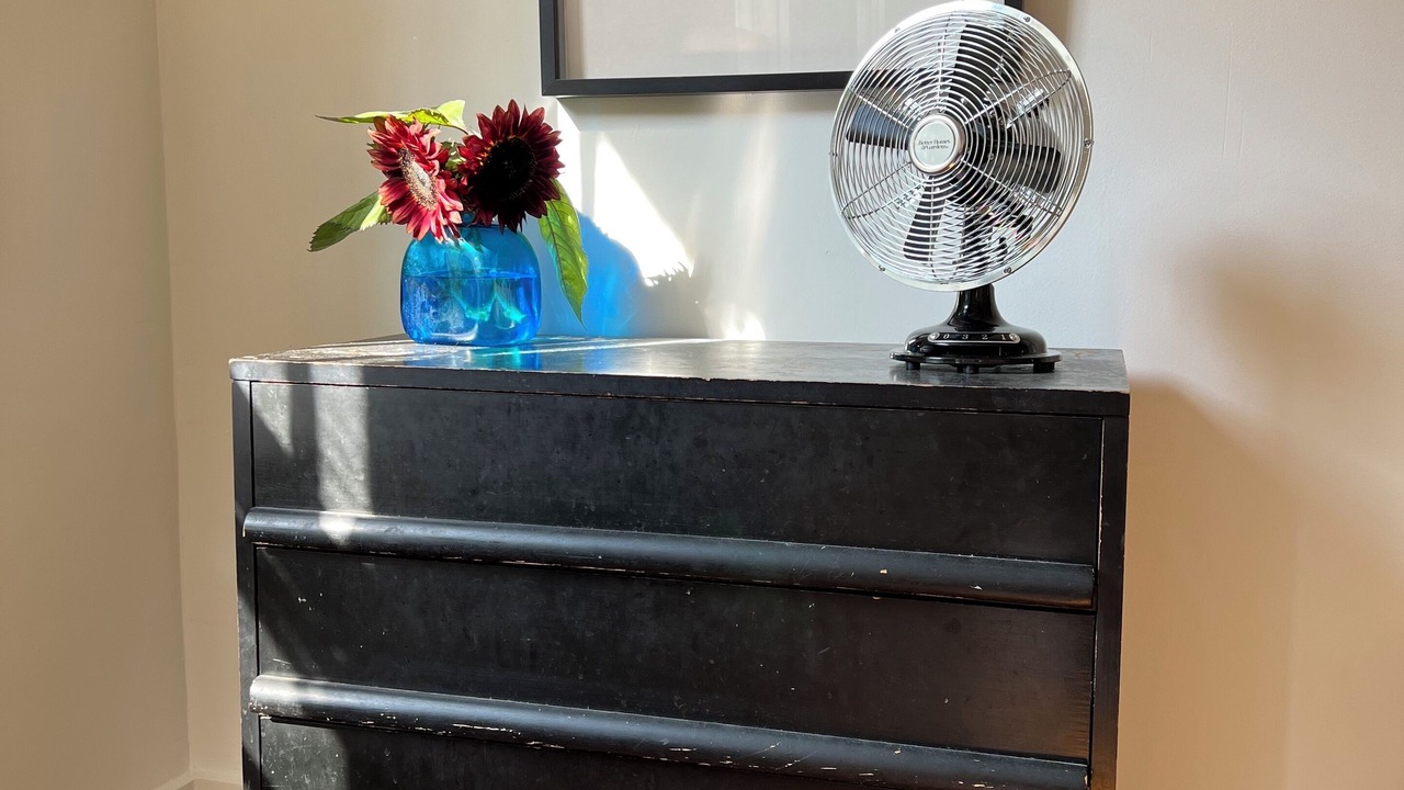 Photo of Others in Richmond