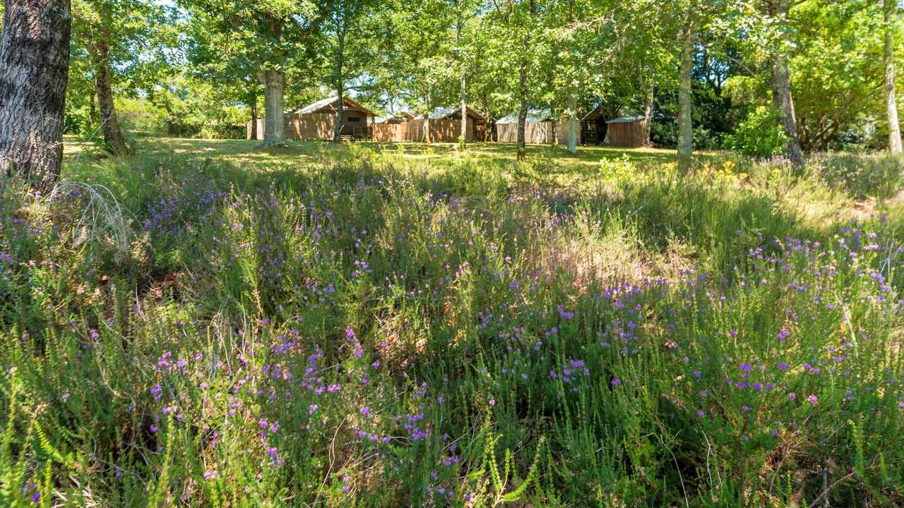 Photo of Outdoor in Lesperon