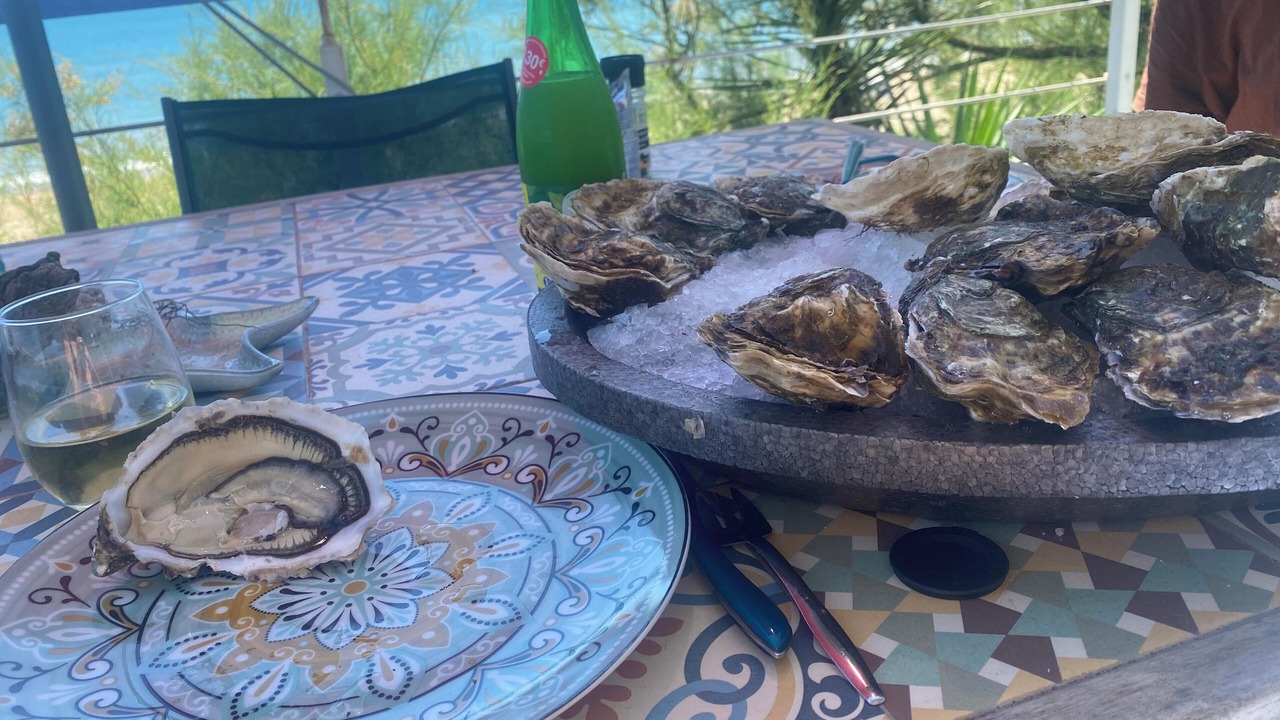 Photo of Outdoor in Marseillan