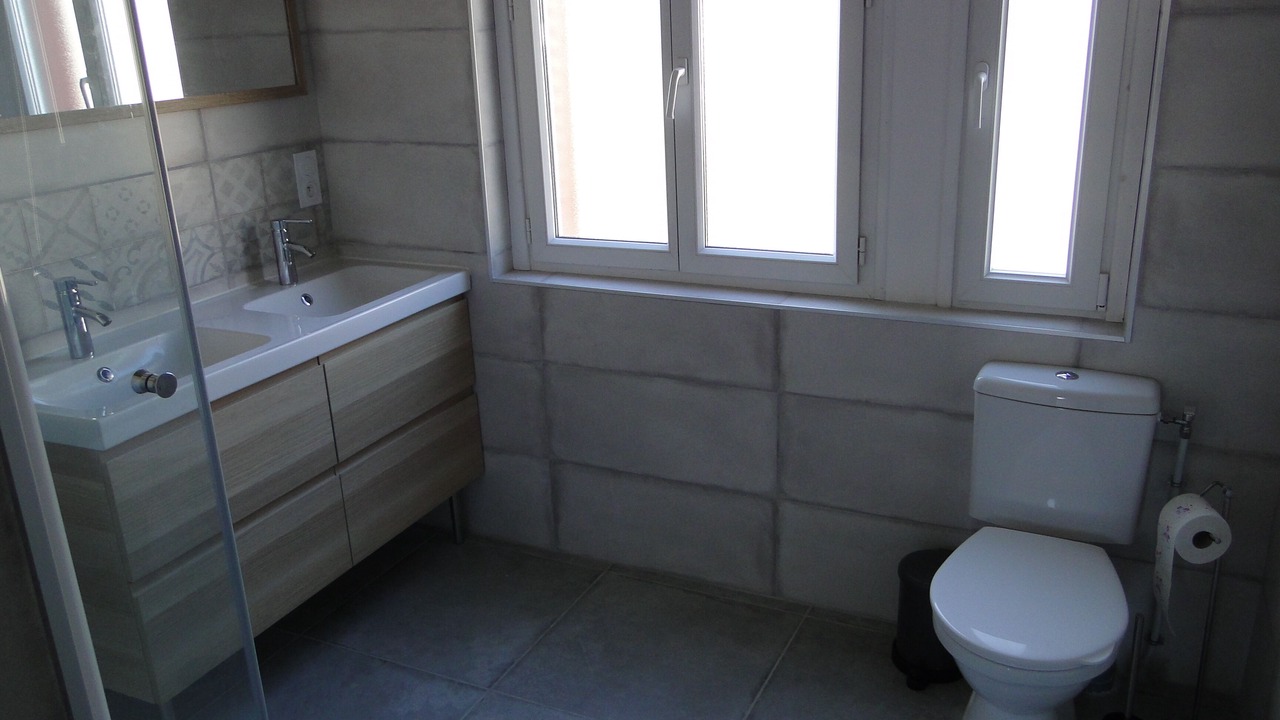 Photo of Bathroom in Mouthe