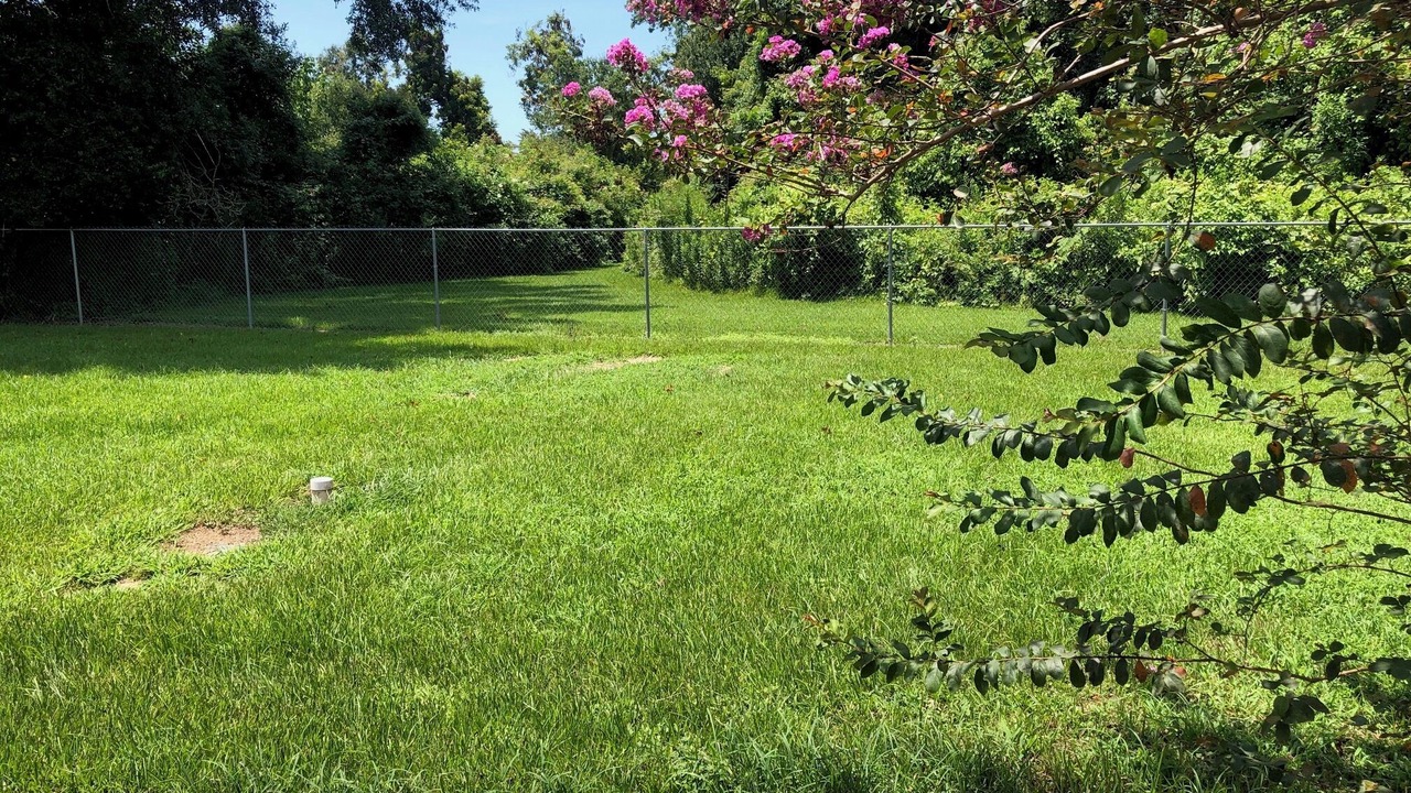 Photo of Outdoor in Jarreau