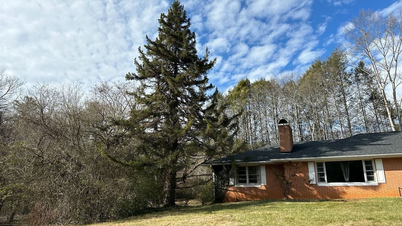 Photo of Outdoor in Fletcher