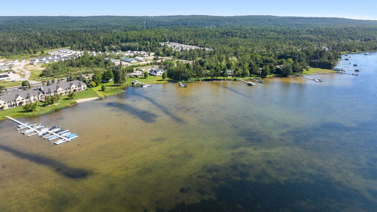 Photo of Outdoor in Alanson