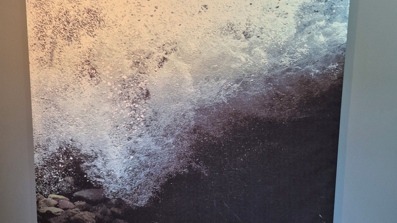 Photo of Others in Roads End