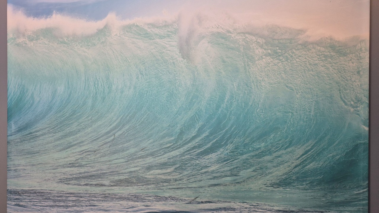 Photo of Others in Roads End