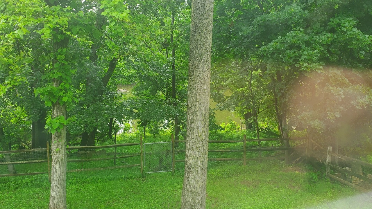 Photo of Others in Collegeville