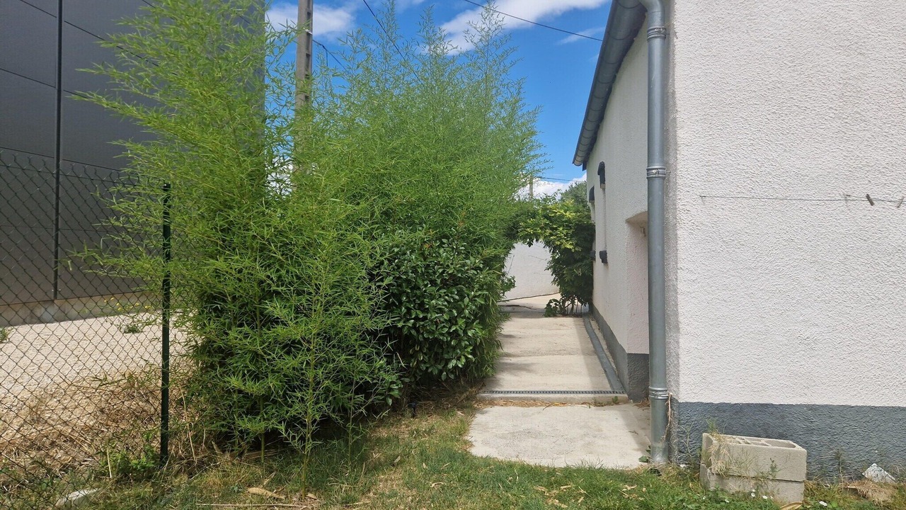 Photo of Others in Saint-Hilaire-de-Brethmas