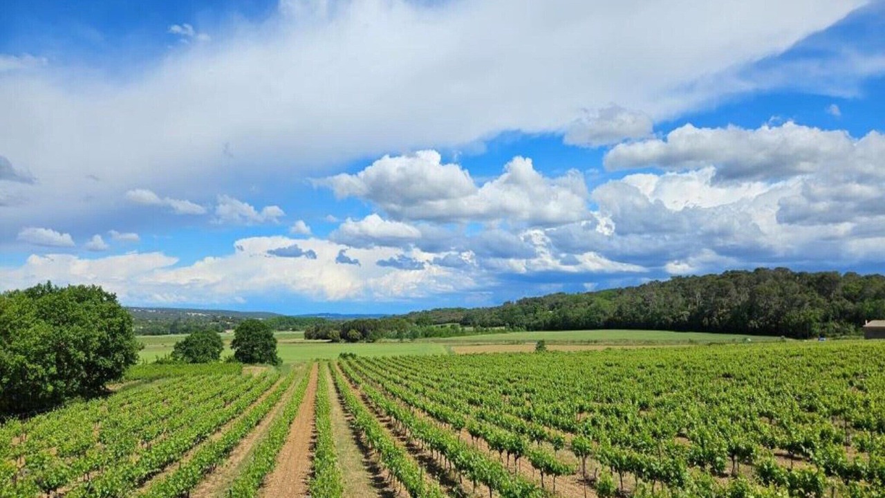 Photo of Others in Saint-Hilaire-de-Brethmas