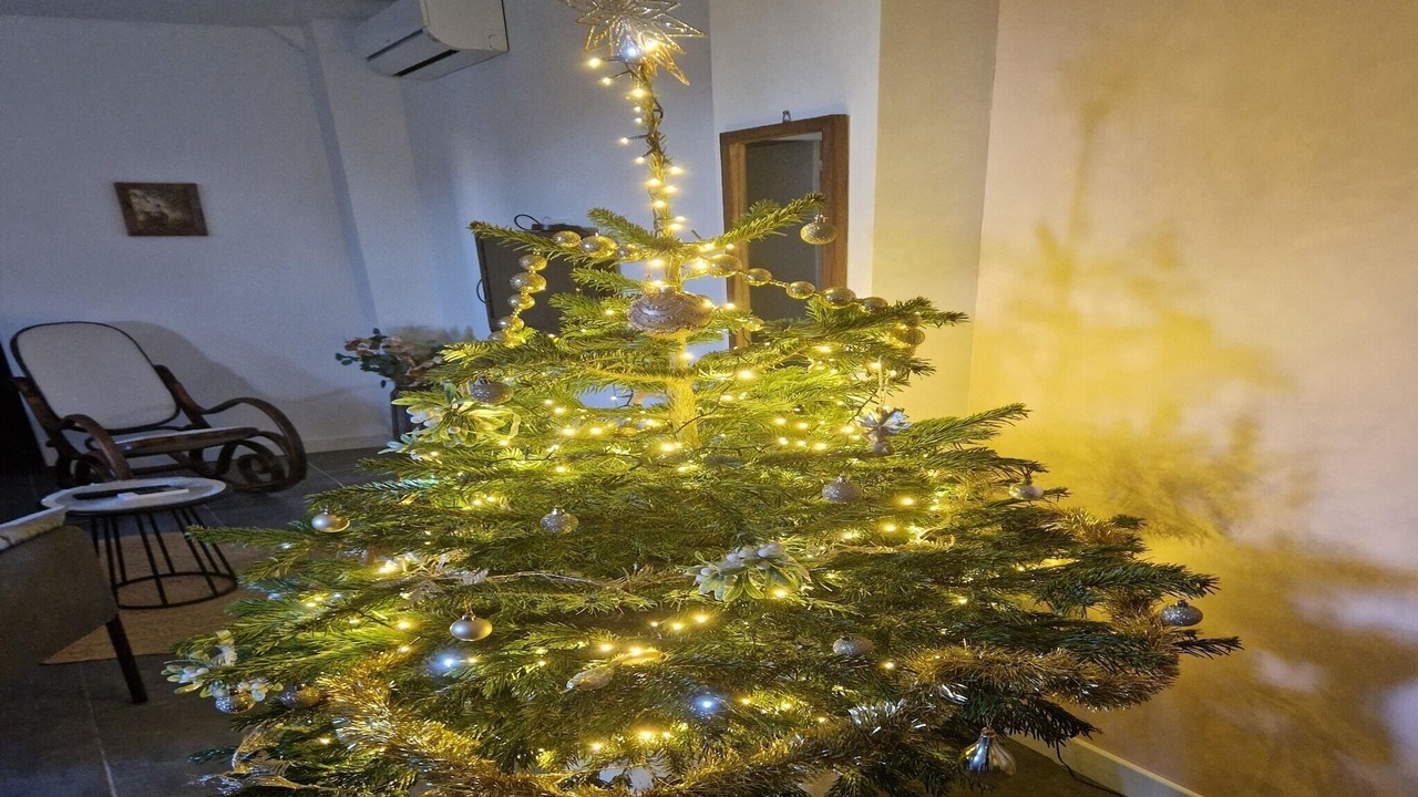 Photo of Others in Saint-Hilaire-de-Brethmas