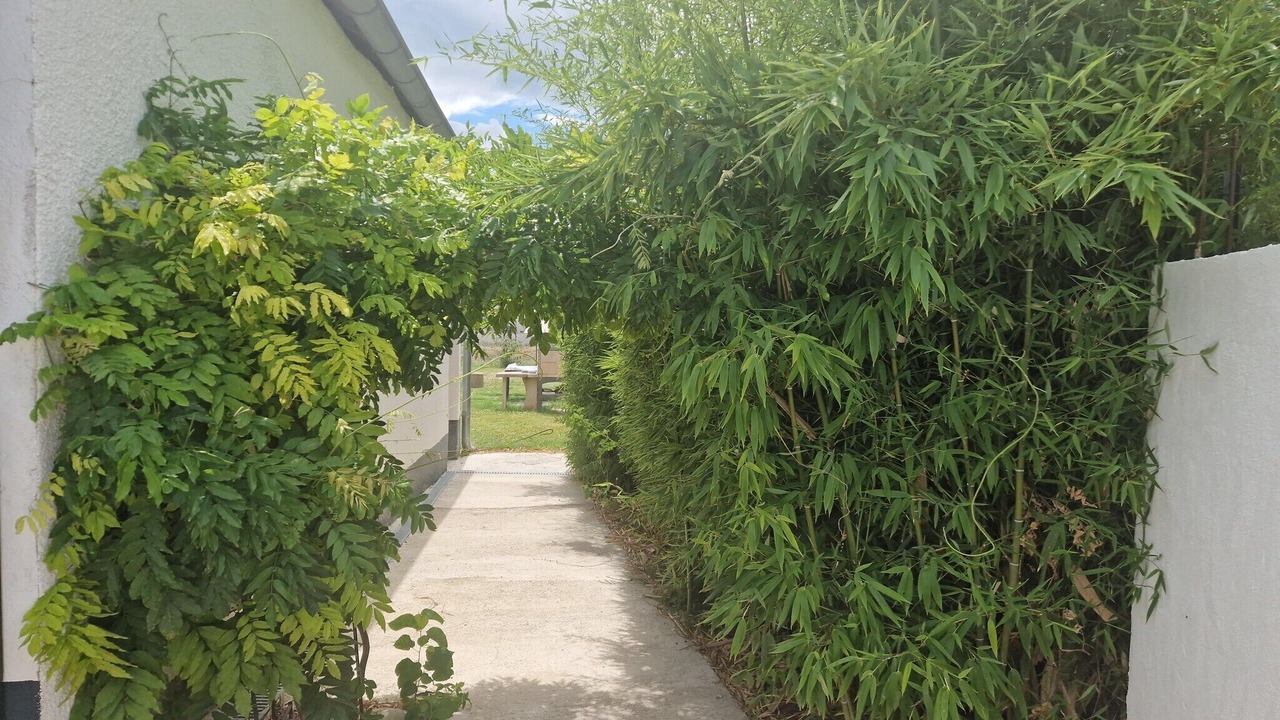 Photo of Outdoor in Saint-Hilaire-de-Brethmas