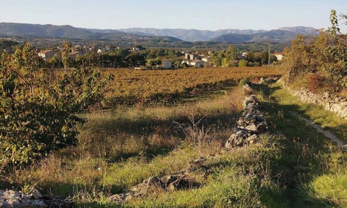 Photo of Others in Lablachere