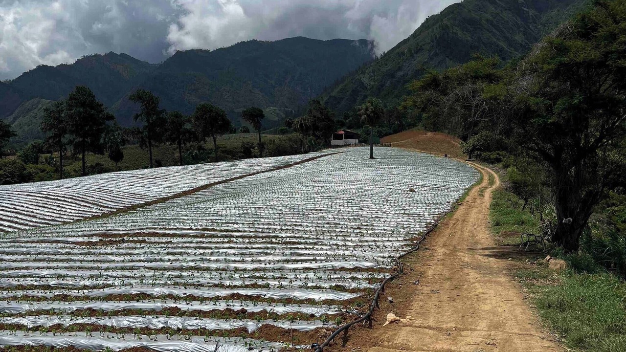 Photo of Others in San Jose de Ocoa