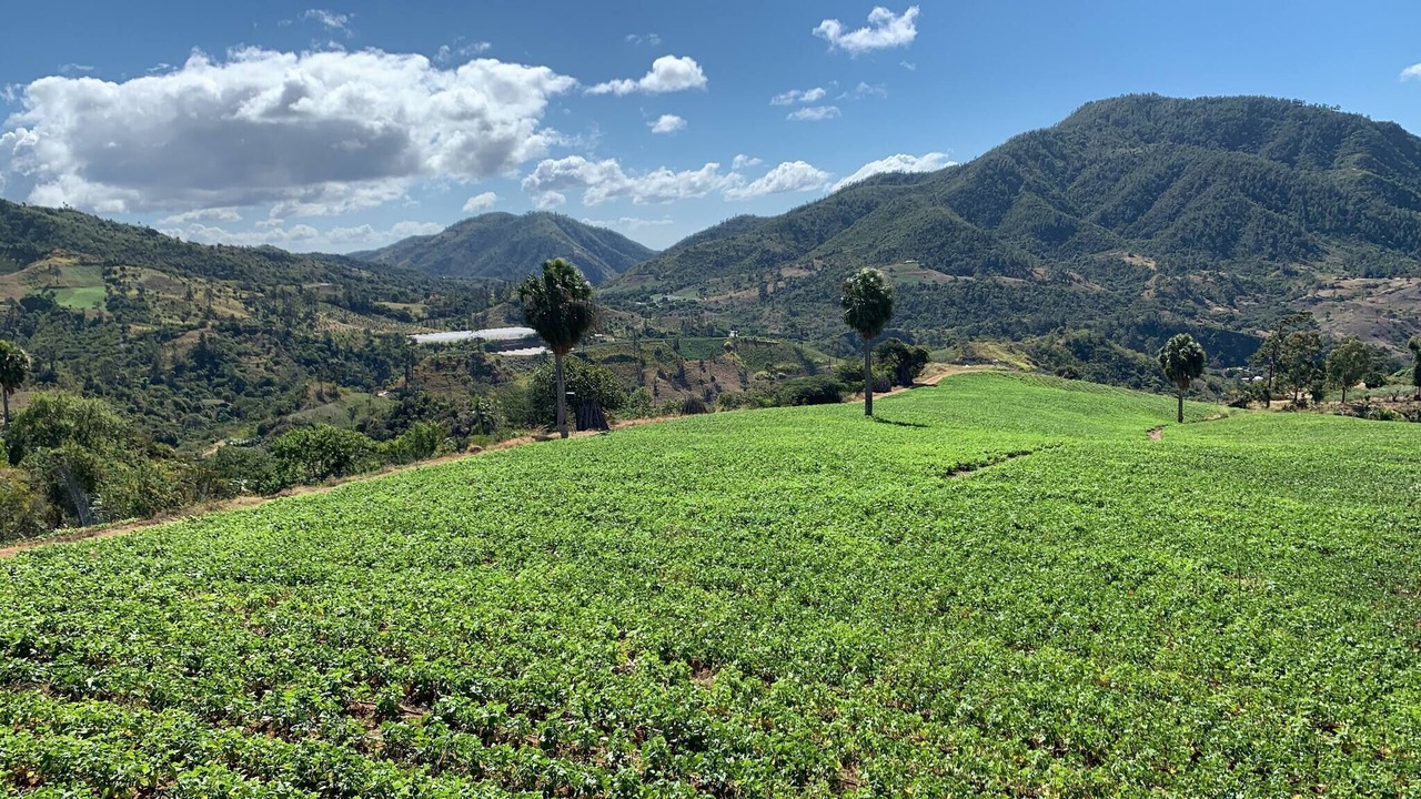 Photo of Others in San Jose de Ocoa