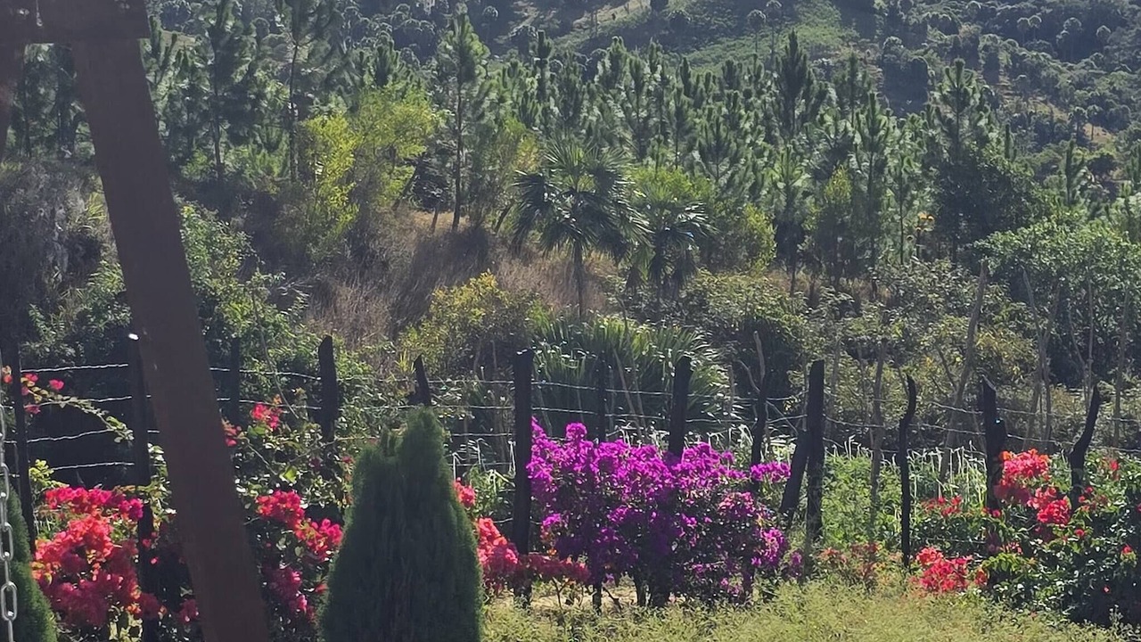 Photo of Outdoor in San Jose de Ocoa
