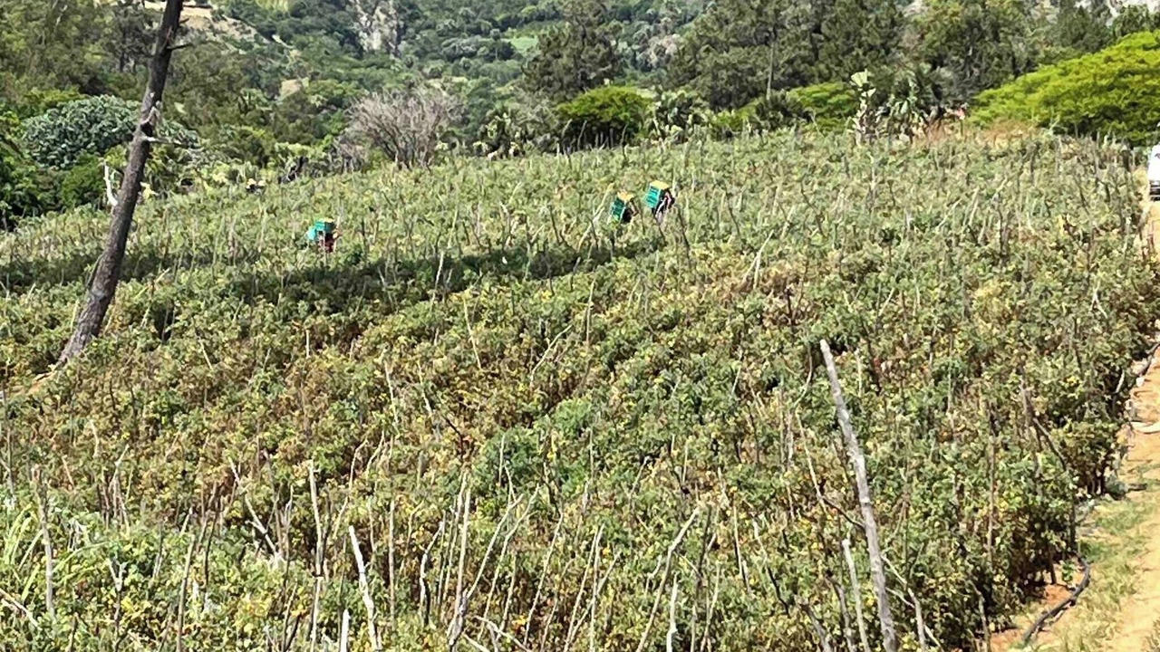 Photo of Others in San Jose de Ocoa