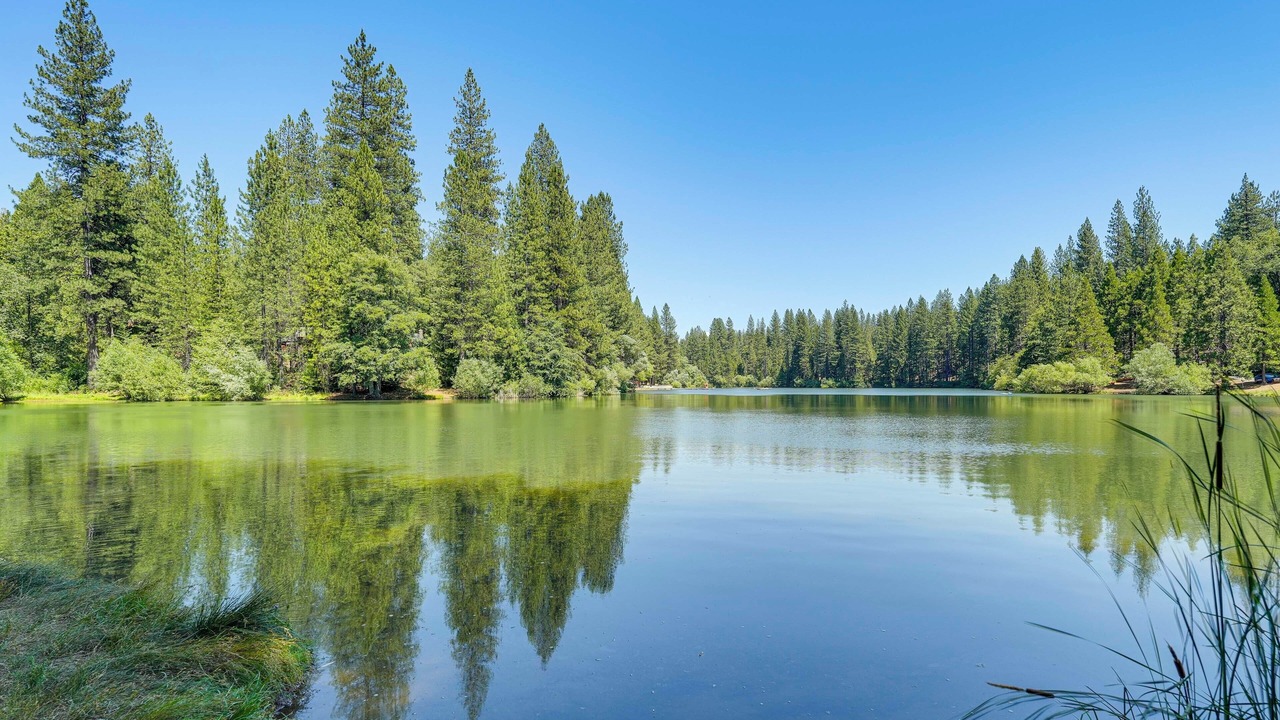 Photo of Outdoor in Glencoe