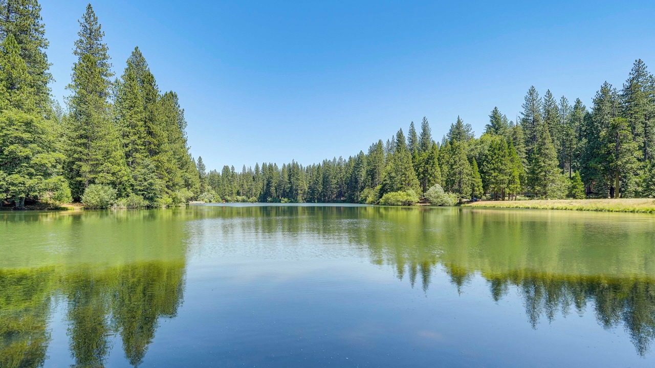 Photo of Outdoor in Glencoe