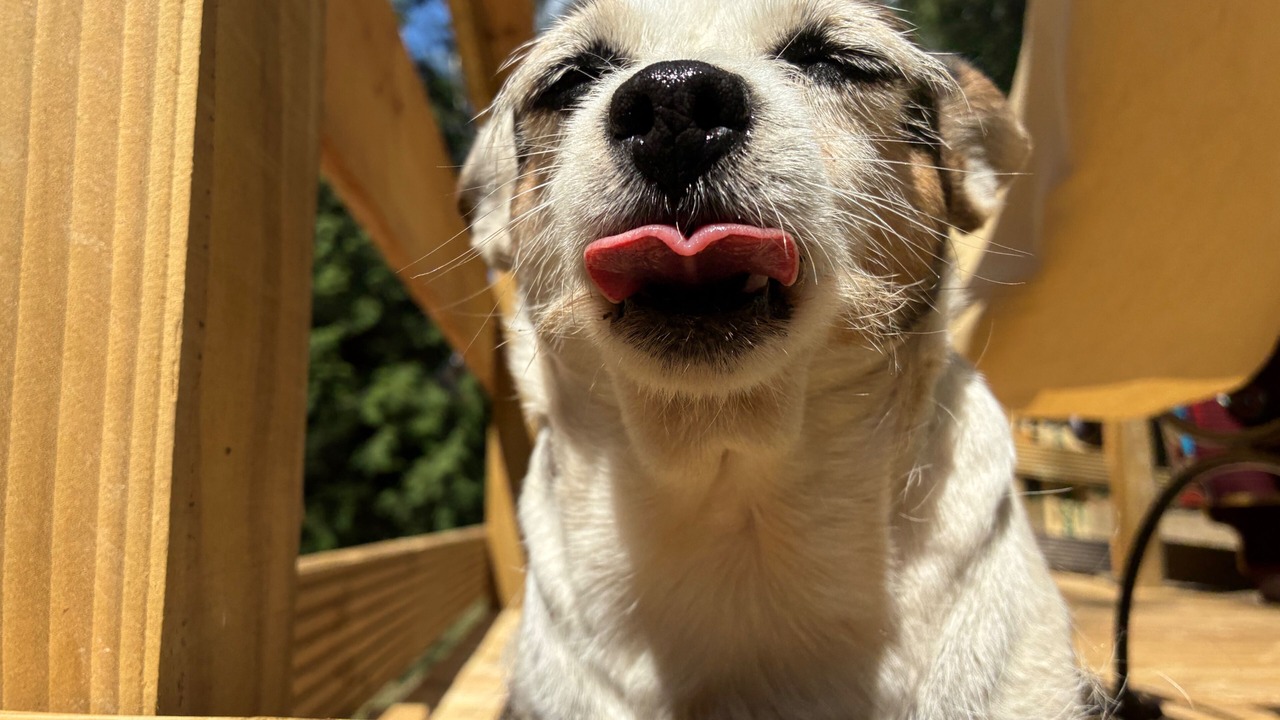 Photo of Others in Longhope