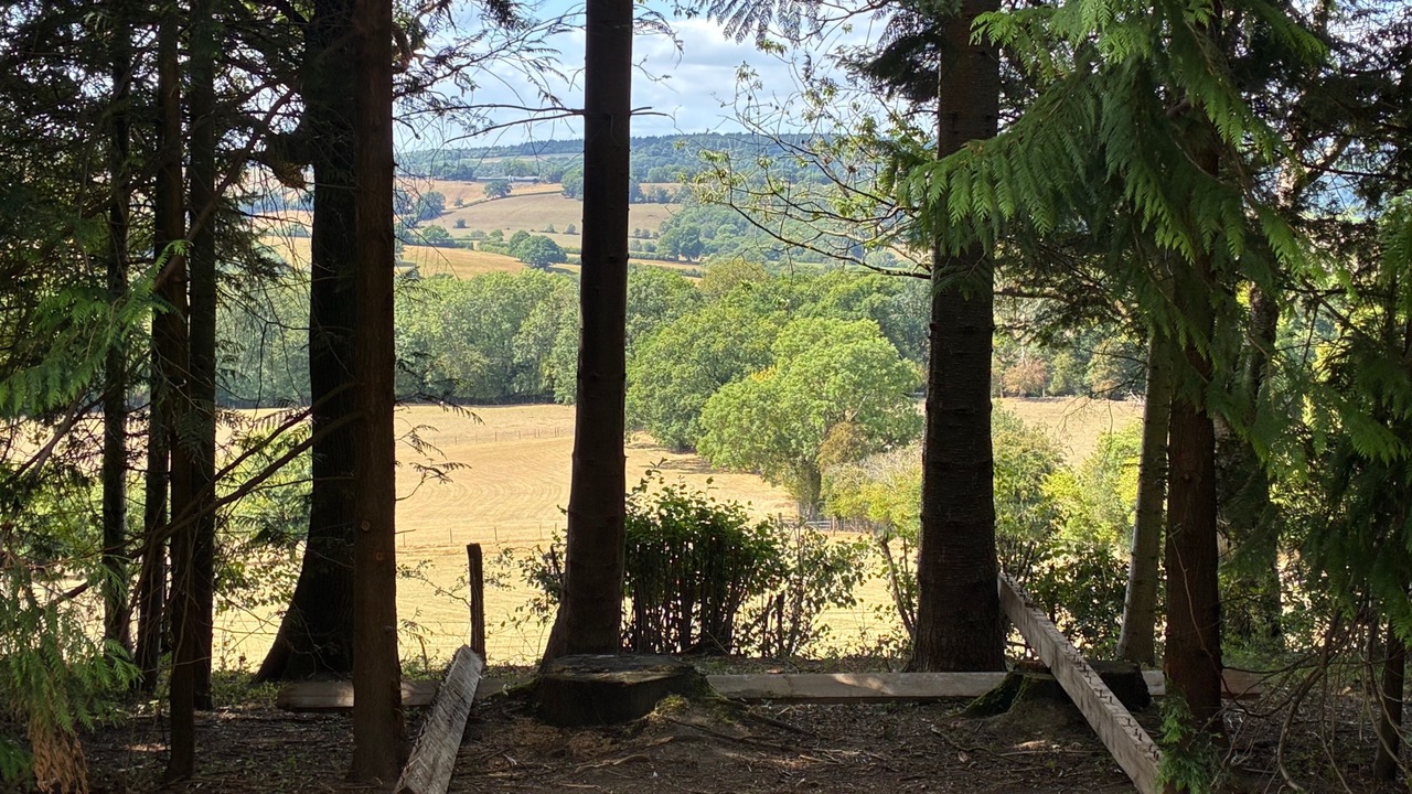 Photo of Others in Longhope