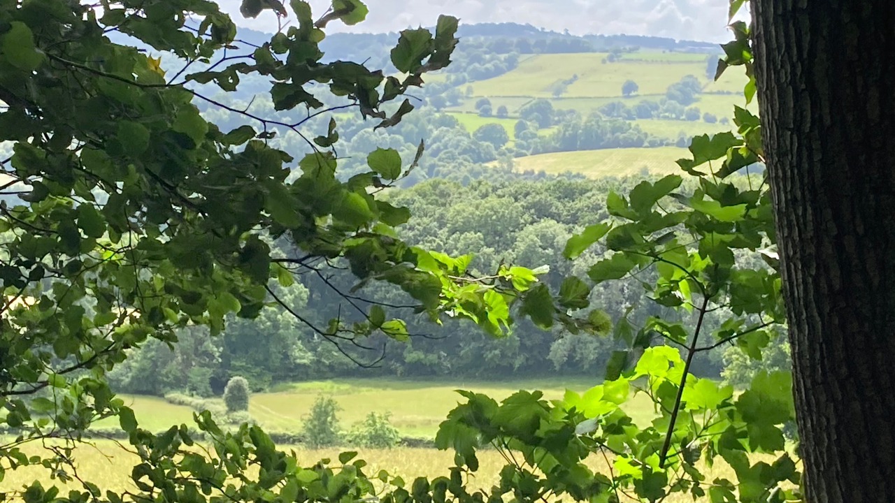 Photo of Others in Longhope