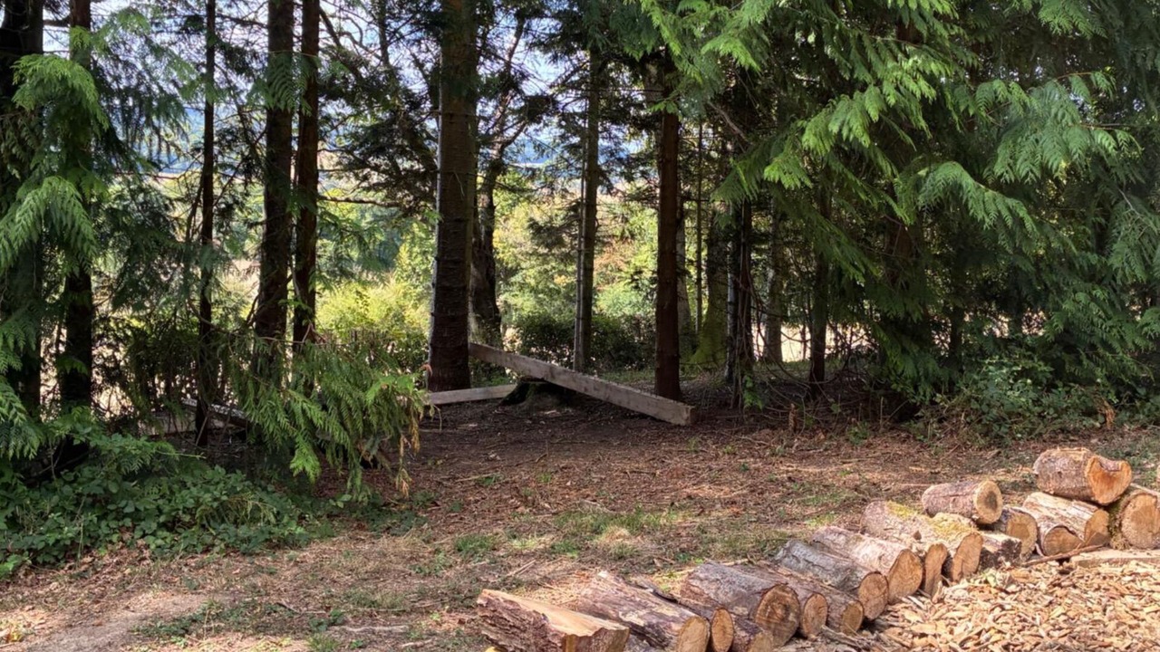 Photo of Others in Longhope