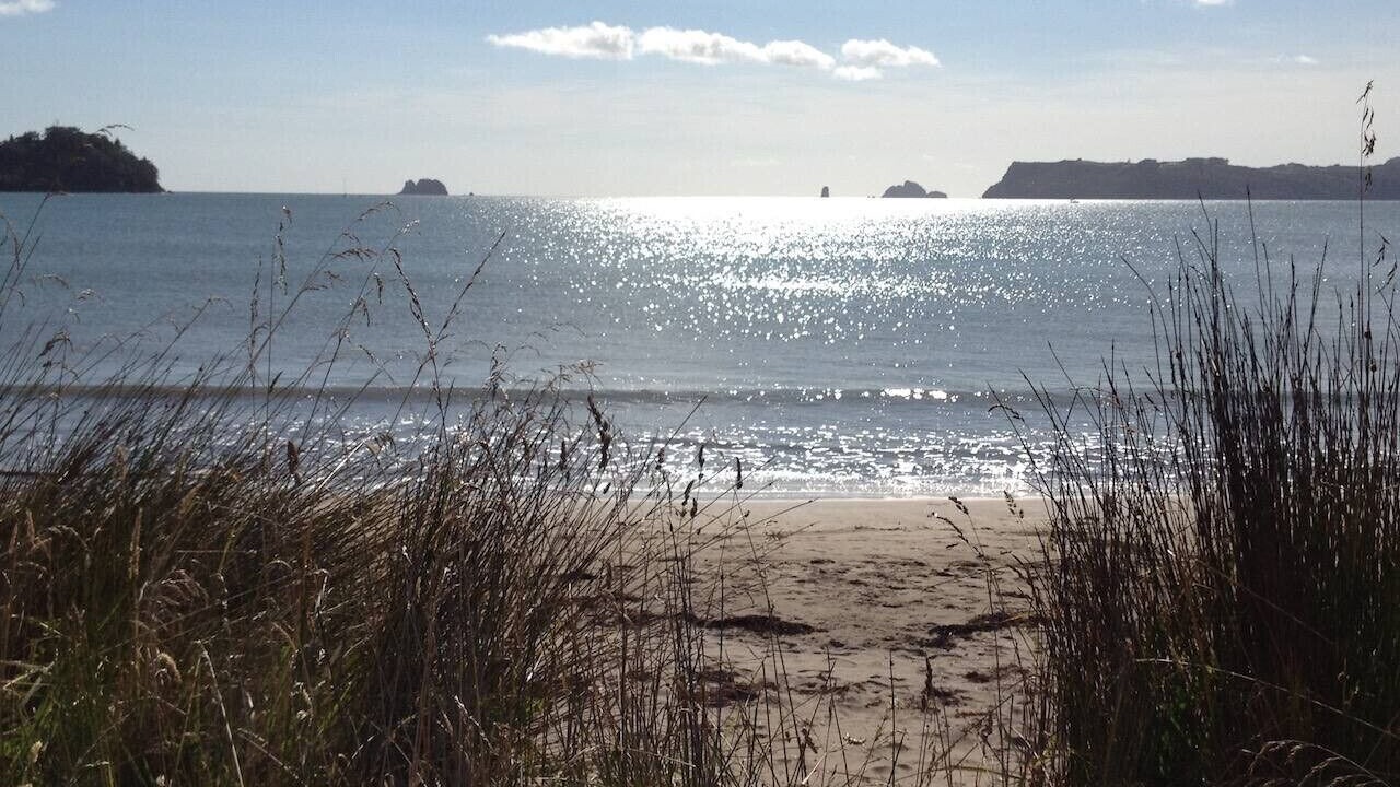 Photo of Others in Whitianga