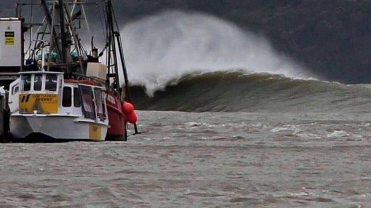 Photo of Others in Whitianga