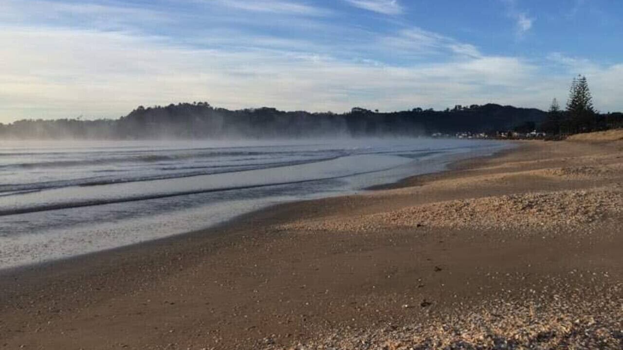 Photo of Others in Whitianga