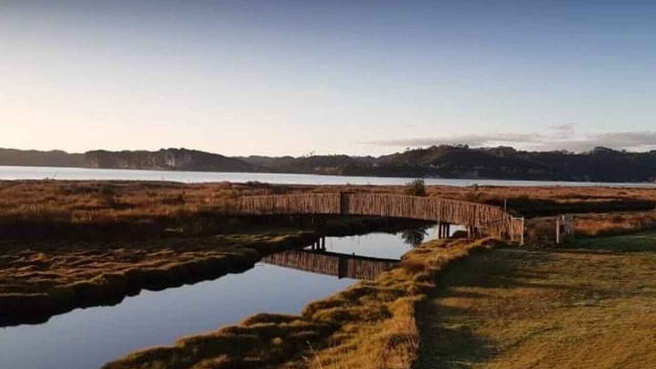 Photo of Others in Whitianga