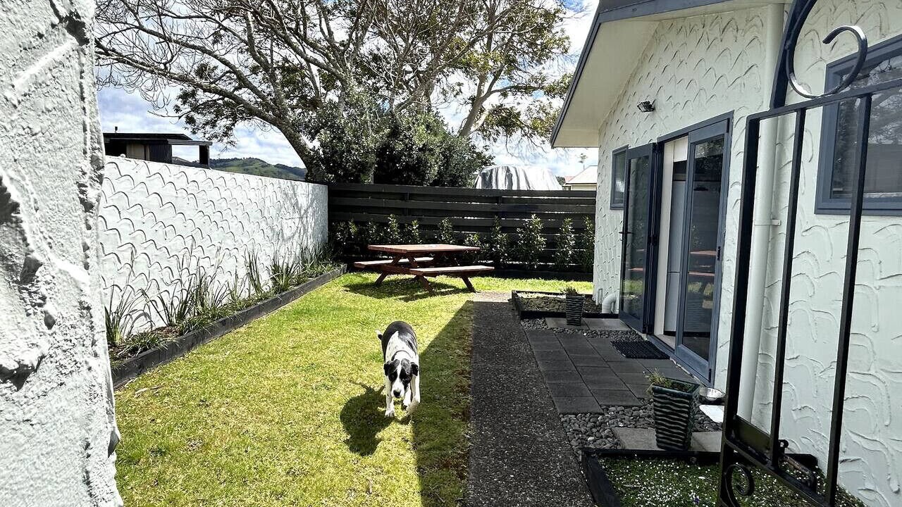 Photo of Outdoor in Whitianga