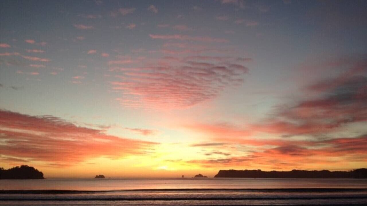 Photo of Others in Whitianga