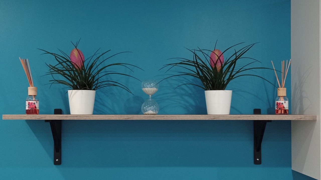 Photo of Others in Le Mee-sur-Seine