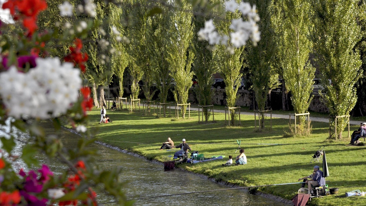 Photo of Others in Le Mee-sur-Seine