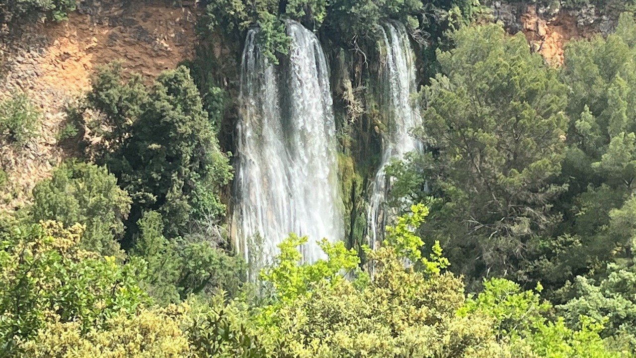 Photo of Others in Salernes