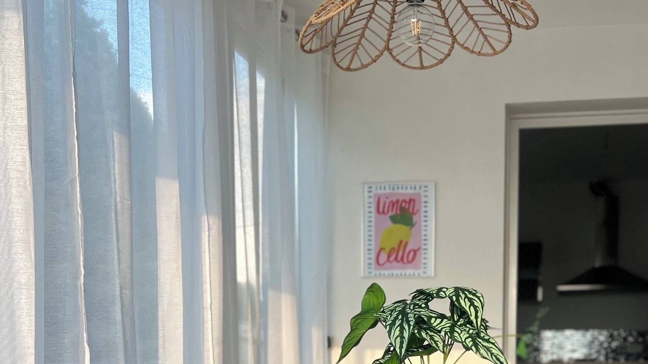 Photo of Others in Salernes