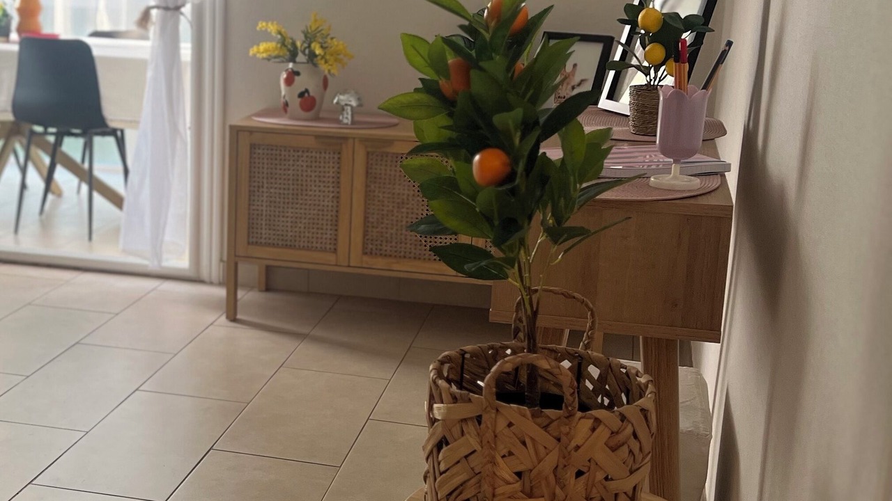 Photo of Others in Salernes