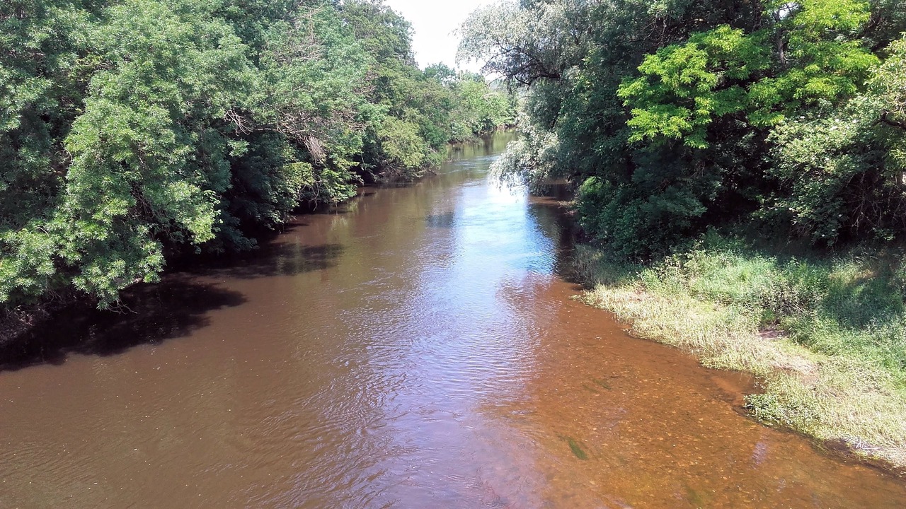 Photo of Others in Arcy-sur-Cure
