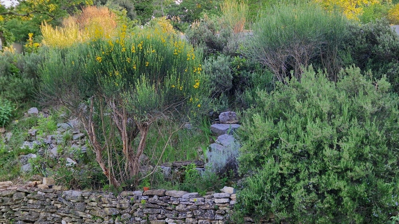 Photo of Outdoor in Salazac