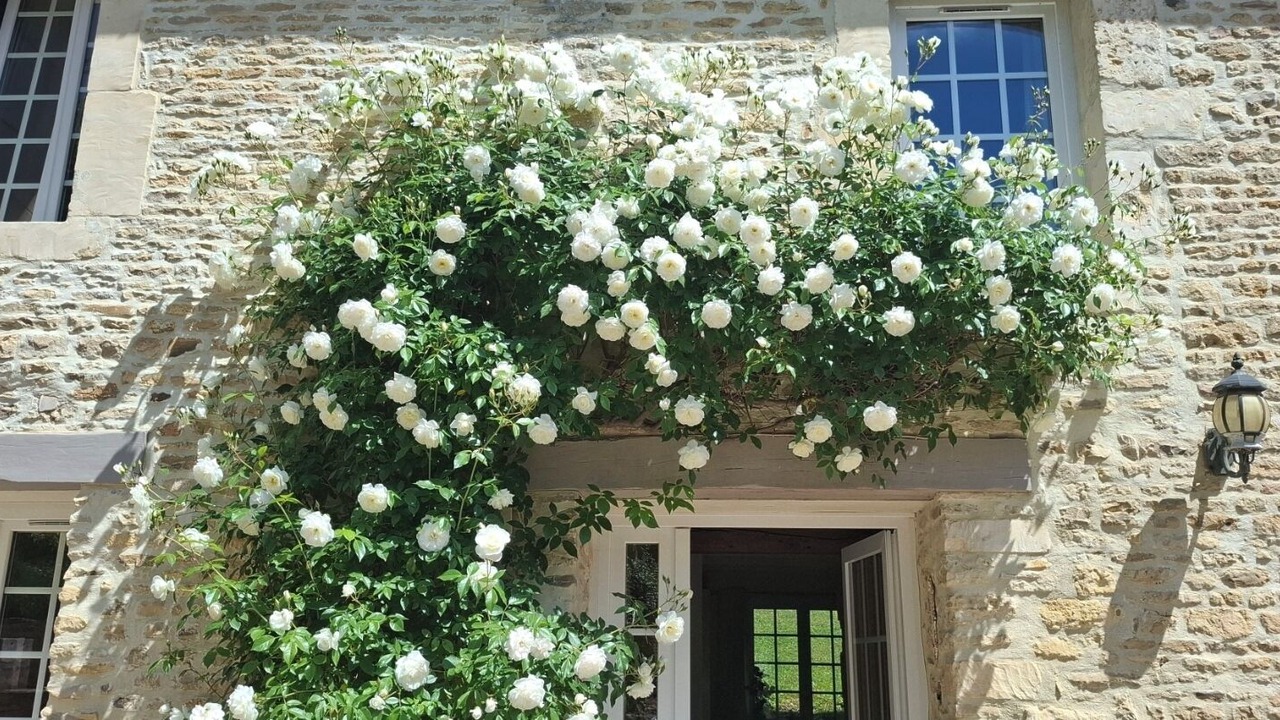 Photo of Outdoor in Vieux-Fume