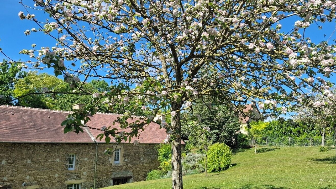 Photo of Outdoor in Vieux-Fume