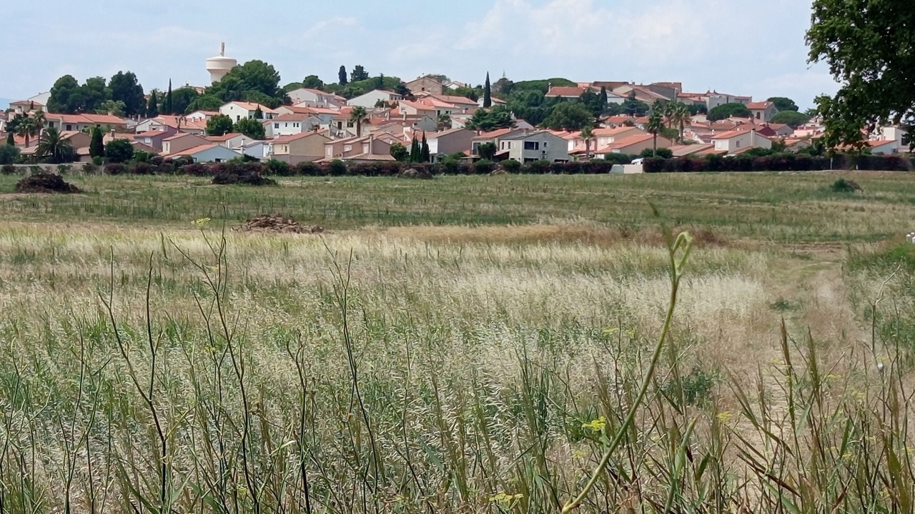 Photo of Others in Montescot