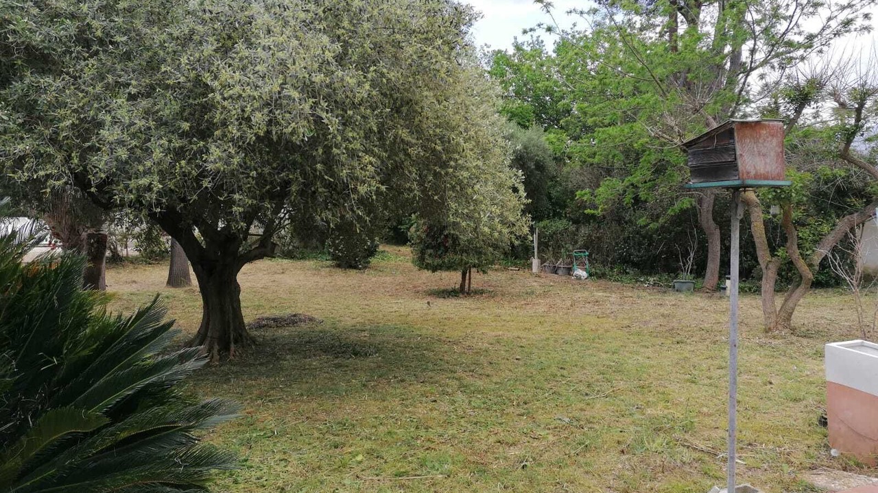 Photo of Outdoor in Montescot