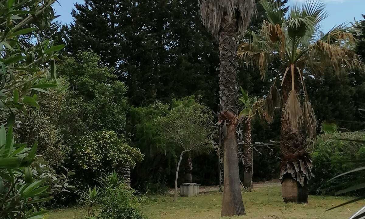 Photo of Outdoor in Montescot