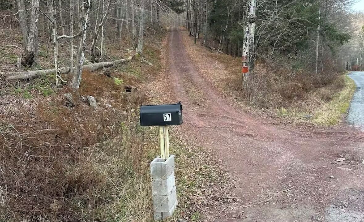 Photo of Others in Long Eddy