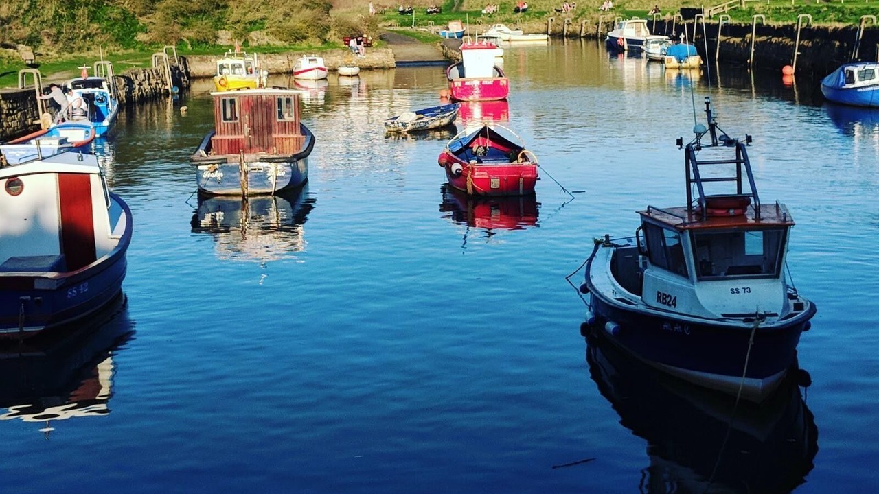 Photo of Others in Seaton Sluice